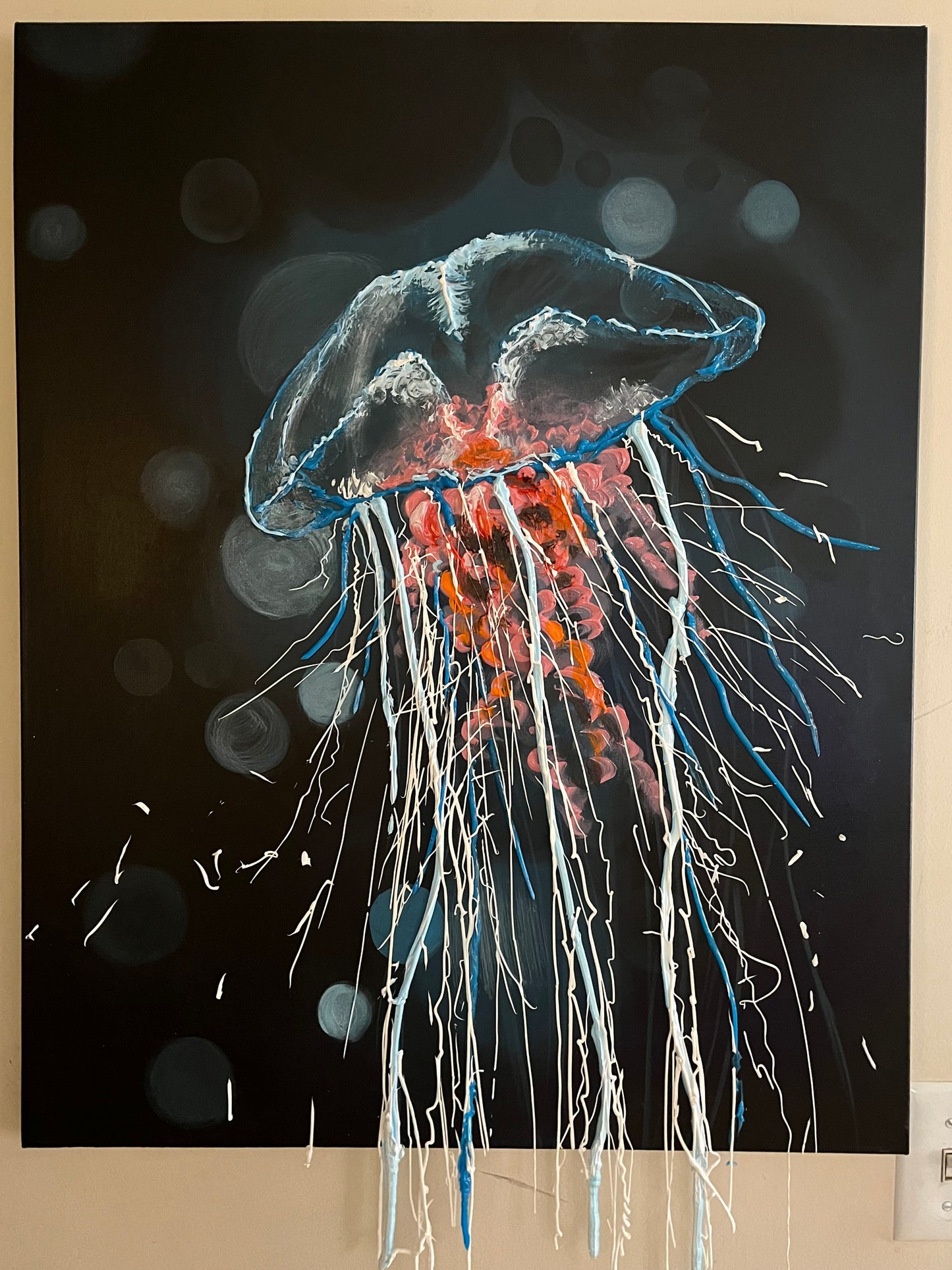Jellyfish