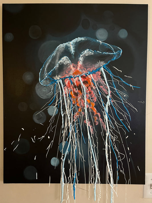 Jellyfish