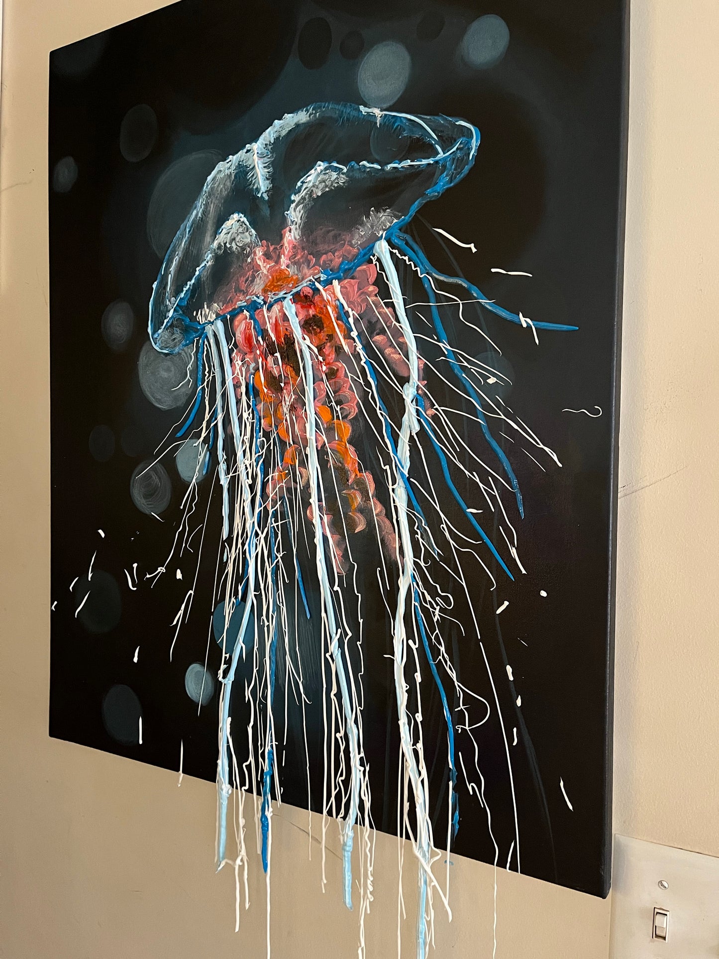 Jellyfish